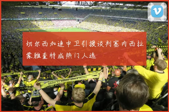 切尔西加速中卫引援谈判塞内西拉蒙雅奎特成热门人选
