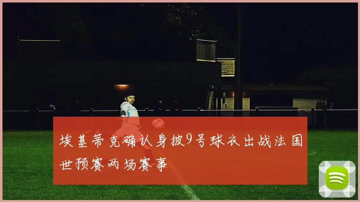 埃基蒂克确认身披9号球衣出战法国世预赛两场赛事