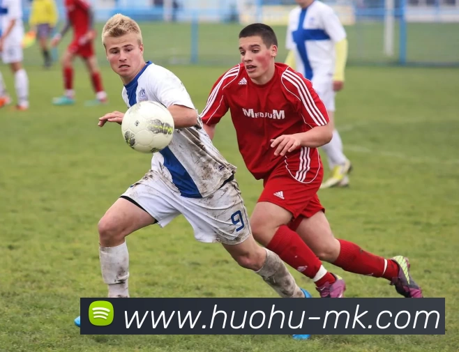 MK体育APP 封面图